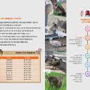 인천야생동물구조관리센터 이미지