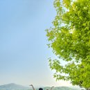 송화관광농원 | 용인캠핑장 파이브이모션 F존 : 3살아기랑함께 하는 가족캠핑