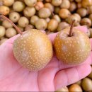 형국농장 이미지