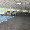 힘찬체육관 이미지