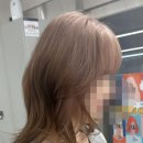 논노브 이미지