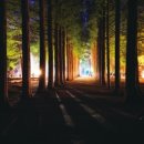 호텔정관루본관 이미지