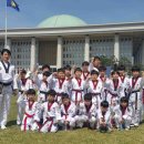 월드용인대석사태권도 이미지