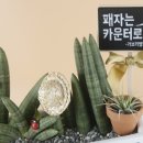땡큐당구장 이미지