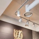 서울88동물의료원 | 천안]서울88동물의료원 고양이건강검진후기