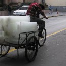 밥풀떼기 이미지