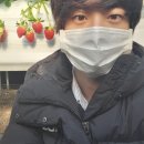 석진이네 이미지