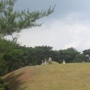 선릉기체조