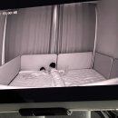 윤주나라