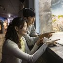 아쿠아플라넷 여수 이미지