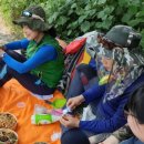 주촌농장 이미지