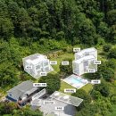 도그버디 이미지