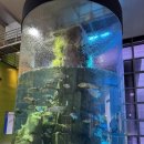 섬진강낚시 | 구례아이랑가볼만한곳)섬진강어류생태관 재방문후기