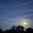 호생농장 이미지