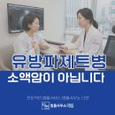 법률사무소다연