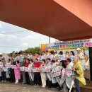 무지갯빛 이미지