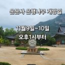 오계교 이미지