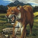 고양이는외계인 이미지