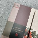 명심축산 | 감사랑곶감 선물세트 800g 반건시곶감 고급선물세트 아이부터어른까지취향저격