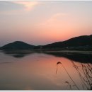 죽림지 이미지