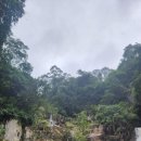 달랏(DA LAT) | 베트남 달랏(Da Lat) 투어 후기