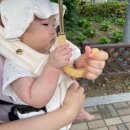 타이어 아울렛 김해점 | EP.110 2차 영유아 검진(일상을 버무린 애묘육아일기 205~211일)6개월 아기 폴로 랄프로렌 베이비 볼캡...