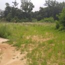 진주시행정사합동사무소 이미지