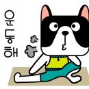 동부배드민턴