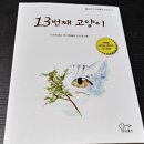13번째고양이
