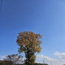 온달마루 이미지