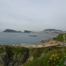 오륙도 Daum카페