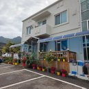 산채랑황태랑 | 속초여행 용대리산채랑황태랑 – 진한 황태국과 향긋한 산채비빔밥의 완벽한 조화 내돈내산 후기