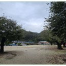 지례초등학교부항분교장 이미지