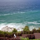 꿈꾸는 바다 이미지