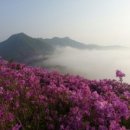 도봉-도봉-2535 | 백두산종주(제4부장백폭포)