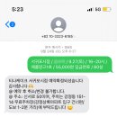 강정동-21 | 가족 모두 감동받은 제주 서귀포 '티나케이크' 애플망고 홀케이크 1호 후기