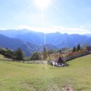 광호농장 이미지