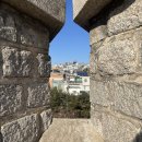 원쌀롱포차 | 살롱 드 딸기:팬톤