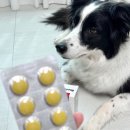 (주)중앙바이오텍 이미지