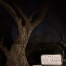 당산4리 경로당 이미지