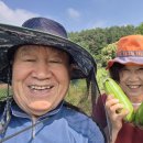 2026.07.16(목)13시.성동고14회.동창회. 후기-1.양평어라현.음식점. 이미지