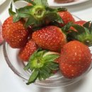 주식회사 줄라이스 | 집밥 모음집 9 ] 음식에 진심인 새댁이 기록하려고 만든 모음집:) feat. 4개월 지난 남편 생일상 후기:)