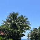 선연기프트 | 냐짱은 맑음☀️ 2편