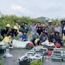 시기동 주민센터 이미지