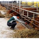 유진축산2 이미지