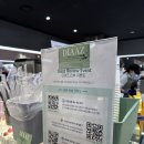 갤러리아 광교 | 광교 케이크 맛집 카페디아즈 갤러리아 광교점 방문후기