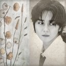 I'm new here. Nice to meet you 이미지