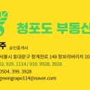 청포도공인중개사사무소 이미지