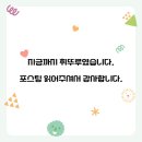 WR(인천광역시 서구)-[가정로]-상-6 | [국내/인천 서구] 초밥부터 디저트까지 무한 리필! [고메스퀘어 루원시티점] 방문기