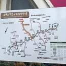 다리안 황토길 이미지